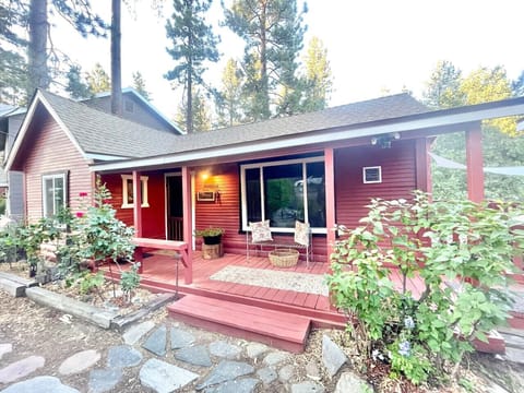 Welcome to this charming red cabin nestled among tall pines, featuring a cozy front porch perfect for relaxing mornings and peaceful evenings surrounded by nature.