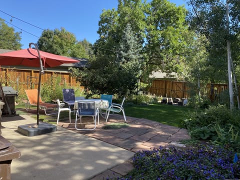 Back yard off family room