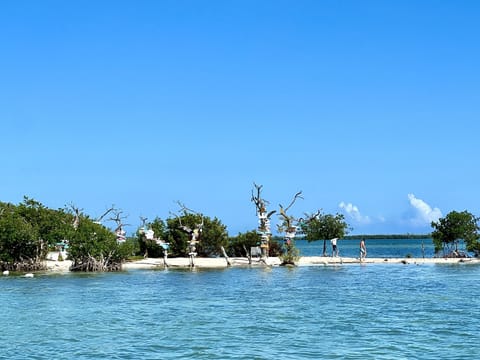 Sun loungers, beach towels