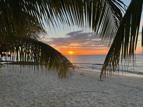 On the beach, sun loungers, beach towels