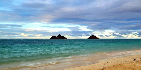 Beach nearby, sun loungers, beach towels