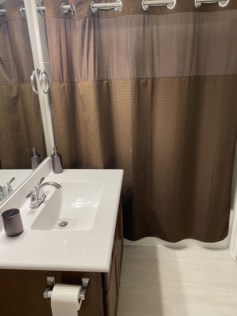 Combined shower/tub, hair dryer, towels, soap