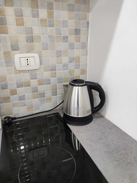 Fridge, stovetop, electric kettle