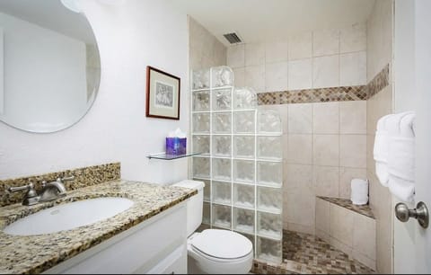 Combined shower/tub, hair dryer, towels, soap