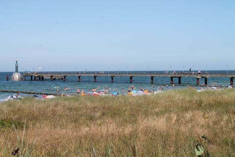 On the beach