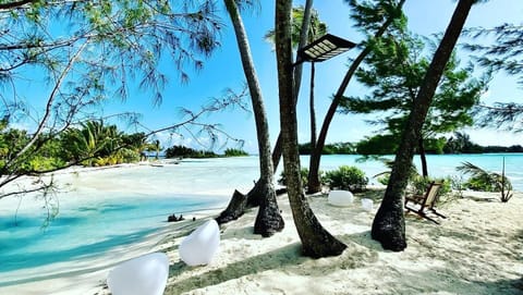 On the beach, sun loungers, beach towels