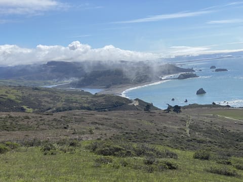Hike to this place from our front door. Jenner Headlands. 