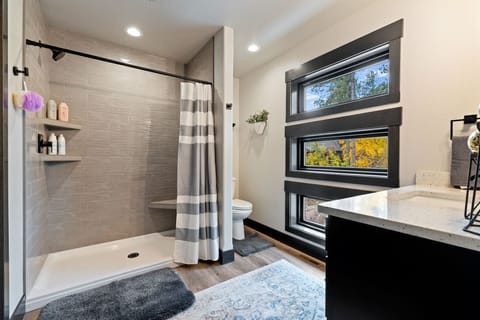 Combined shower/tub, hair dryer, towels, toilet paper