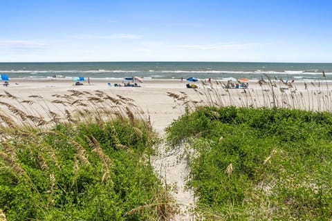 On the beach