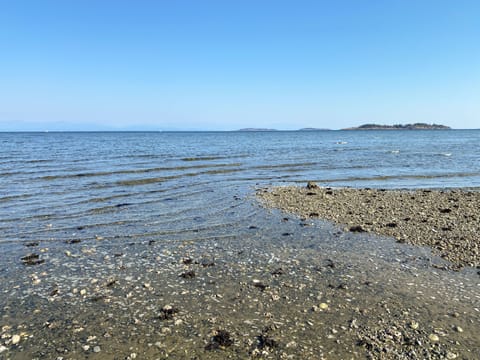 Beach nearby, sun loungers, beach towels