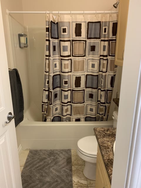 Combined shower/tub, hair dryer, towels, soap