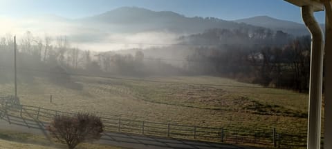 View from the front (back) door of rental.