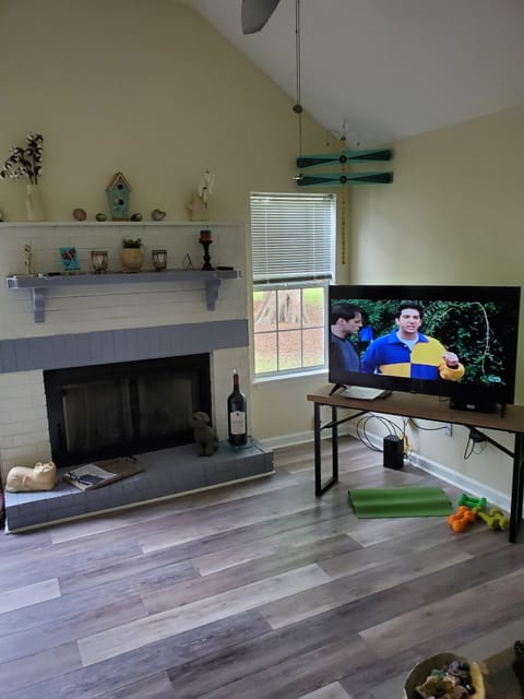 TV, fireplace, books, stereo