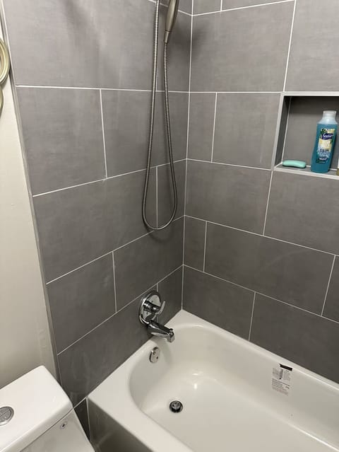 Combined shower/tub, hair dryer, towels, soap