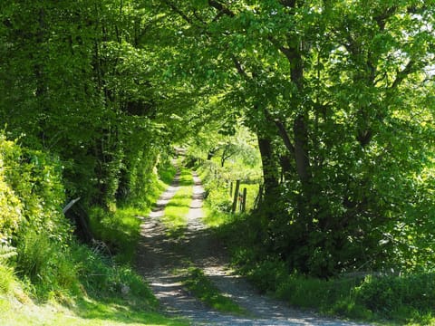 Surrounding area | Ty Gwair - Goetre Isaf, Lampeter