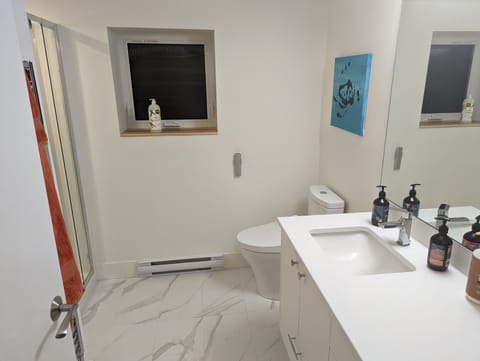 Lower bathroom/shower room
