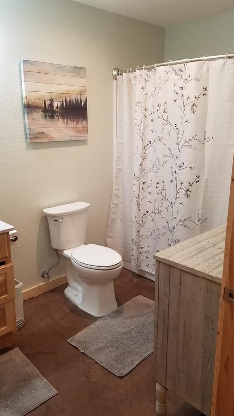 Combined shower/tub, hair dryer, toilet paper