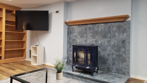TV in the basement with fire place