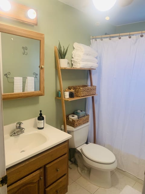 Combined shower/tub, hair dryer