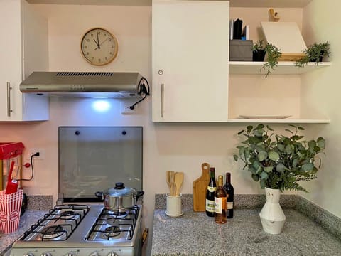 Fridge, stovetop, coffee grinder, spices