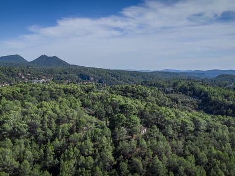 Region [summer] (&gt;5 km)