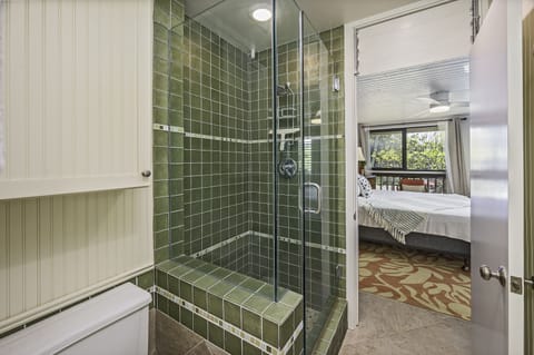 Combined shower/tub, hair dryer, towels