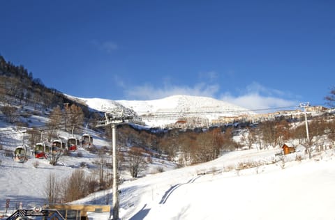 Snow and ski sports