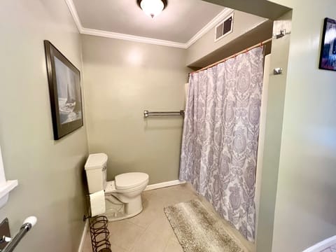 Combined shower/tub, hair dryer, towels, shampoo