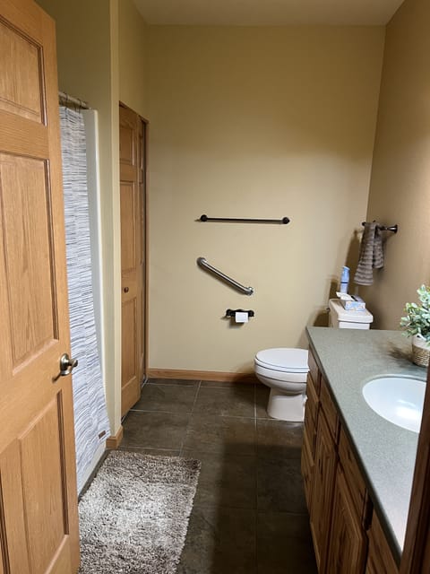 Combined shower/tub, jetted tub, hair dryer, towels