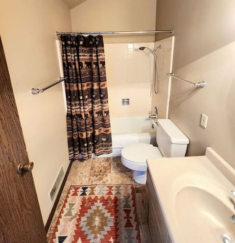 Combined shower/tub, hair dryer