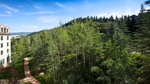 King Room Park Hyatt - Beaver Creek CO