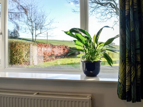 View | Cowar Bothy, Dalbeattie