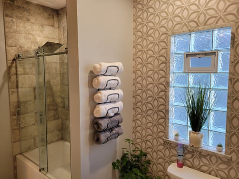 Combined shower/tub, hair dryer, towels, soap