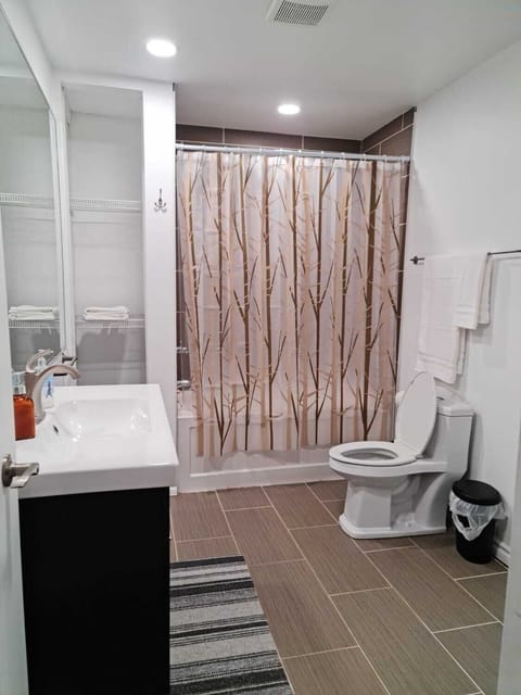 Combined shower/tub, hair dryer, towels, soap