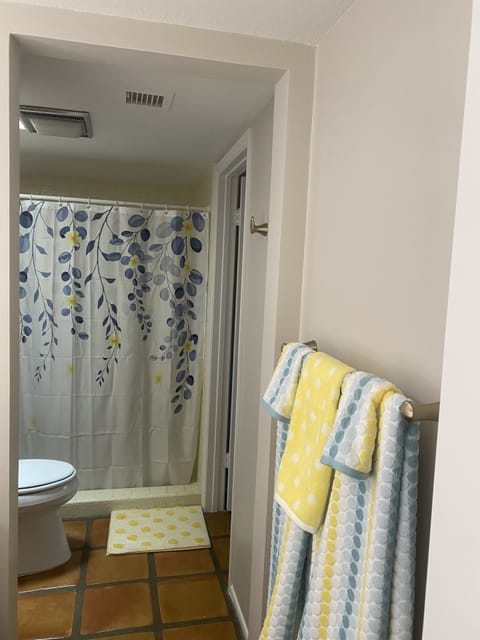 Combined shower/tub, jetted tub, hair dryer, towels