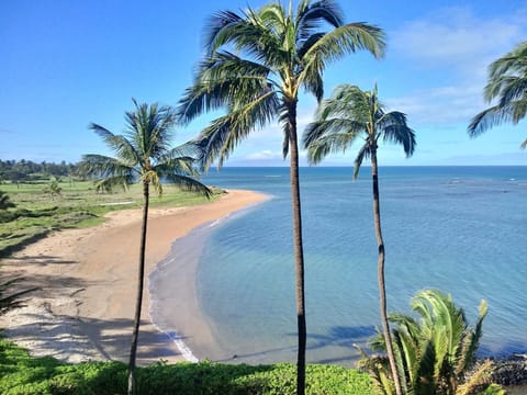 Beach nearby, sun loungers, beach towels