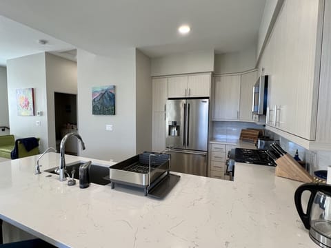 Kitchen with Quartz Countertops