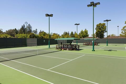 Sport court