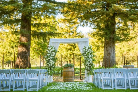 Outdoor banquet area