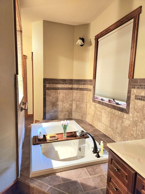 Combined shower/tub, jetted tub, hair dryer, towels