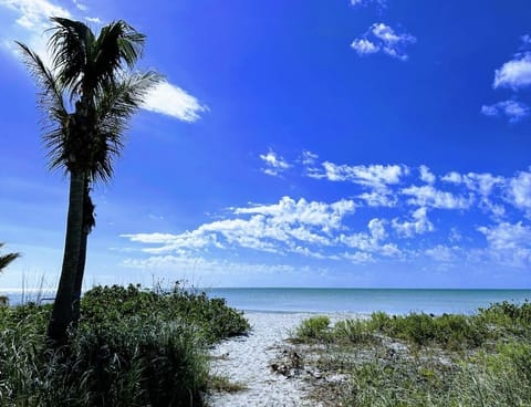 Beach nearby, sun loungers, beach towels