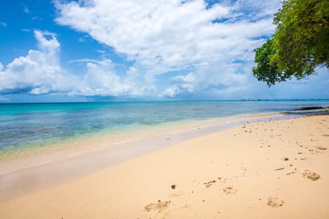 Sun loungers, beach towels