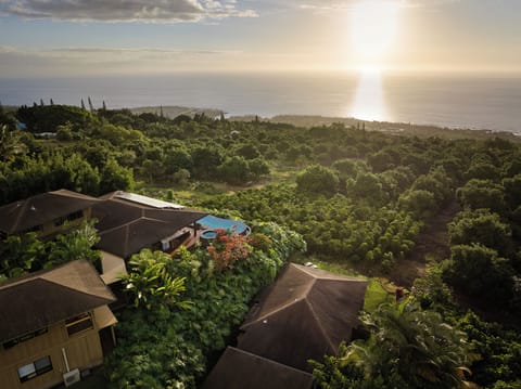 Coffee & Macnut Farms
