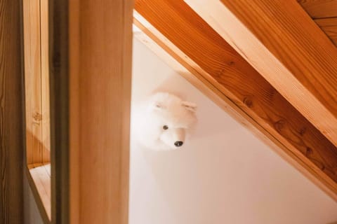 Gomontgenevre apartment loupblanc jan23 18