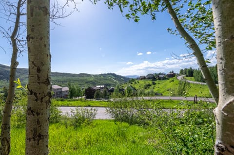 view from two bedrooms