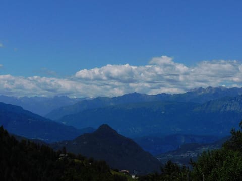 View from the window