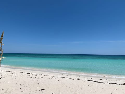 Beach nearby, sun loungers, beach towels