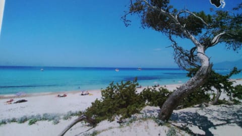 Beach nearby, sun loungers