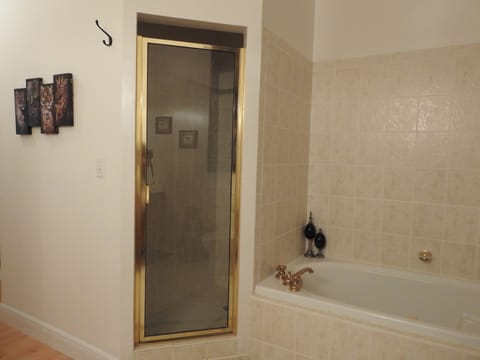 Combined shower/tub, hair dryer, towels, toilet paper