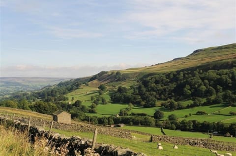 Walden looking down in to Wensleydale in the Yorkshire Dales